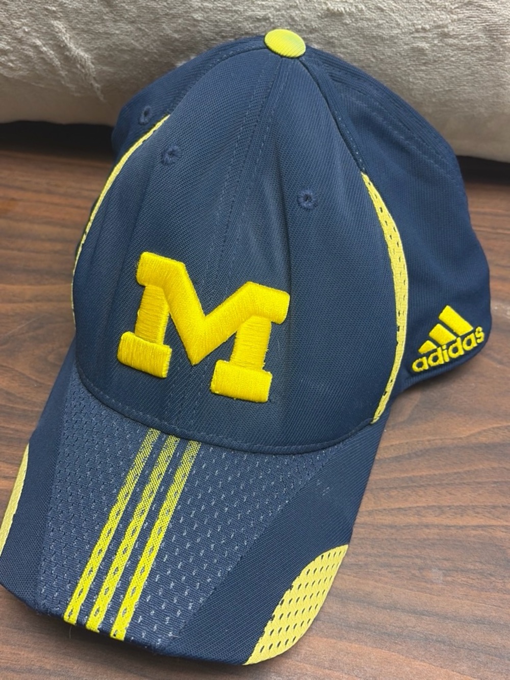 Michigan Wolverines hat GO BLUE!
